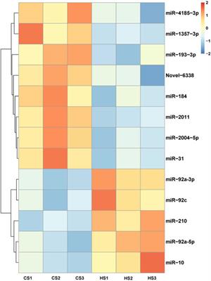 Differential expression of miRNAs in the body wall of the sea cucumber Apostichopus japonicus under heat stress